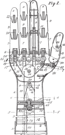 Hand Sketch